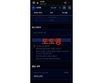 시티벳 먹튀 피해 증빙 이미지 1